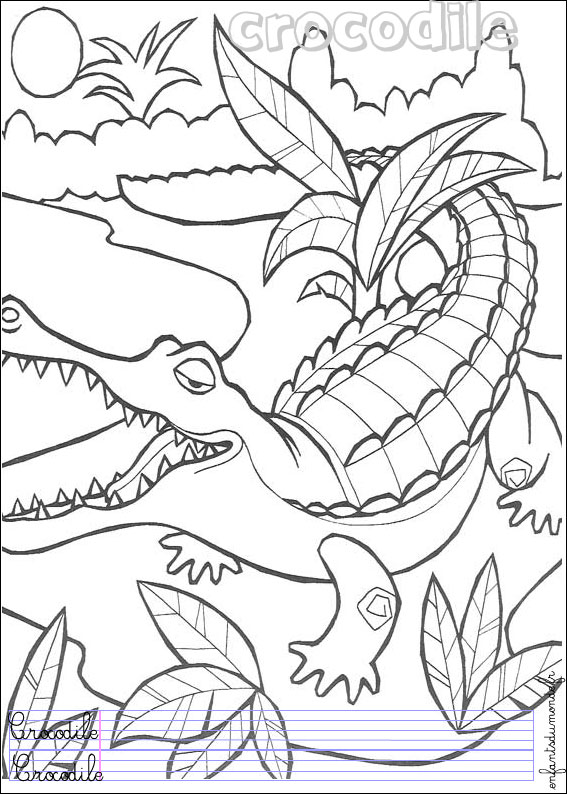 coloriage crocodile 1